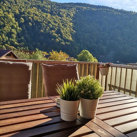 Miro Apartament Sinaia Buitenkant foto