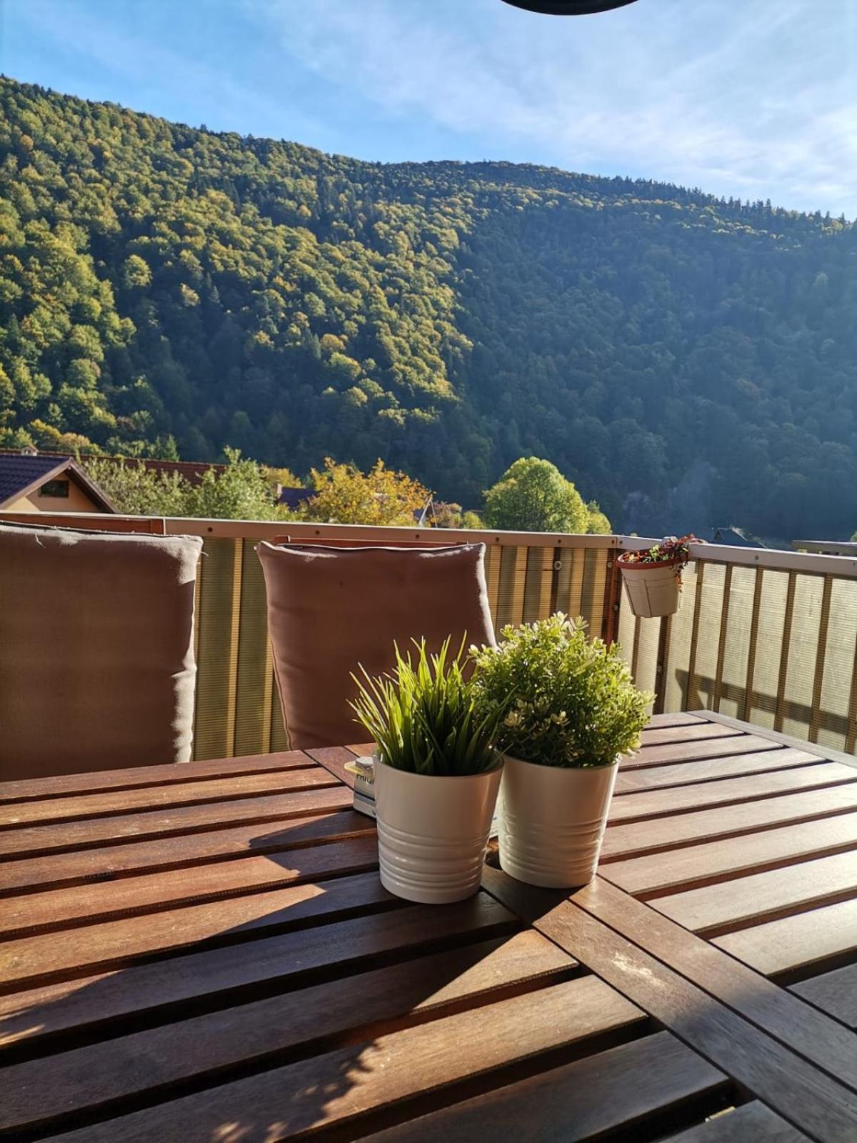 Miro Apartament Sinaia Buitenkant foto