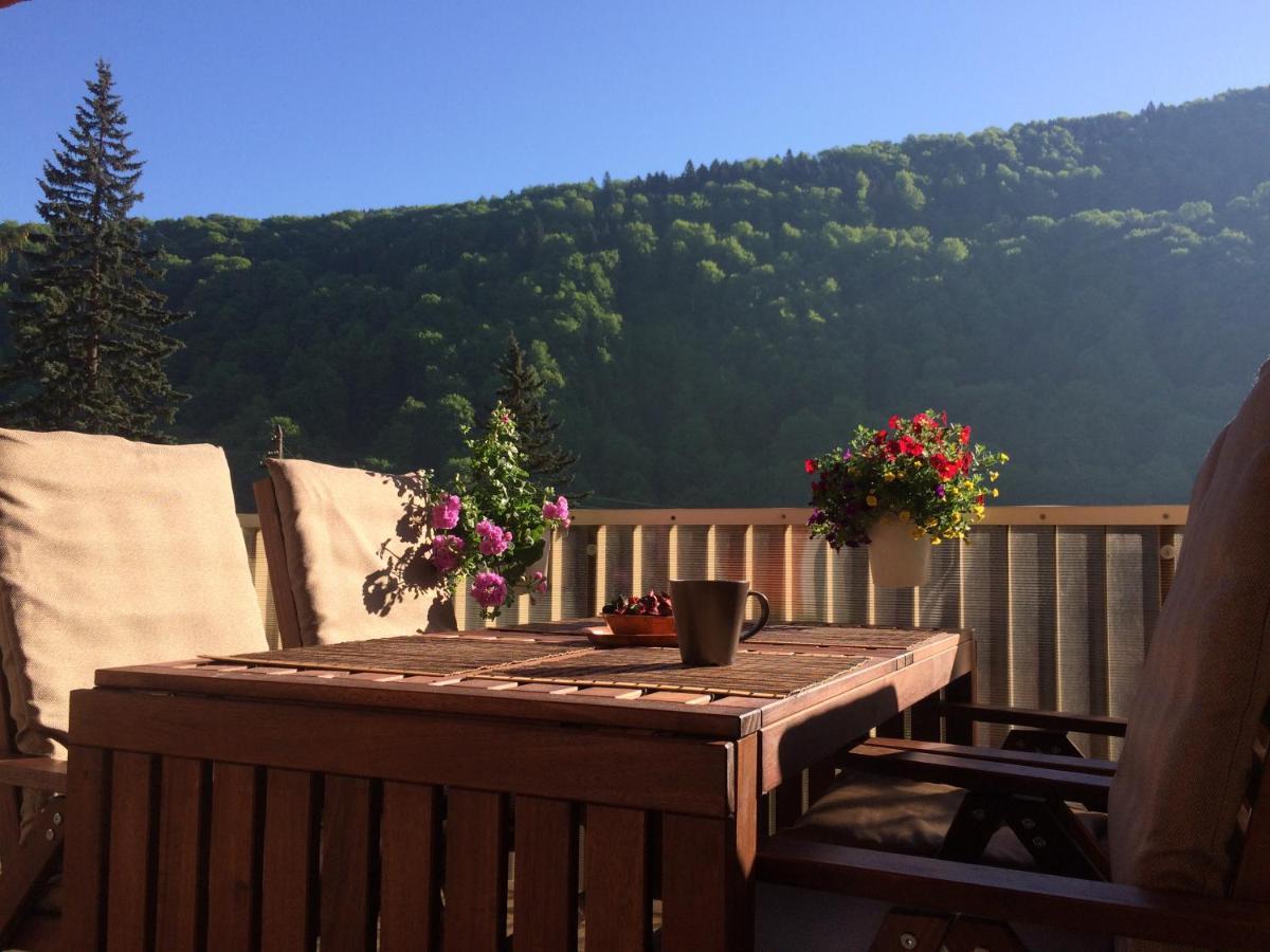 Miro Apartament Sinaia Buitenkant foto
