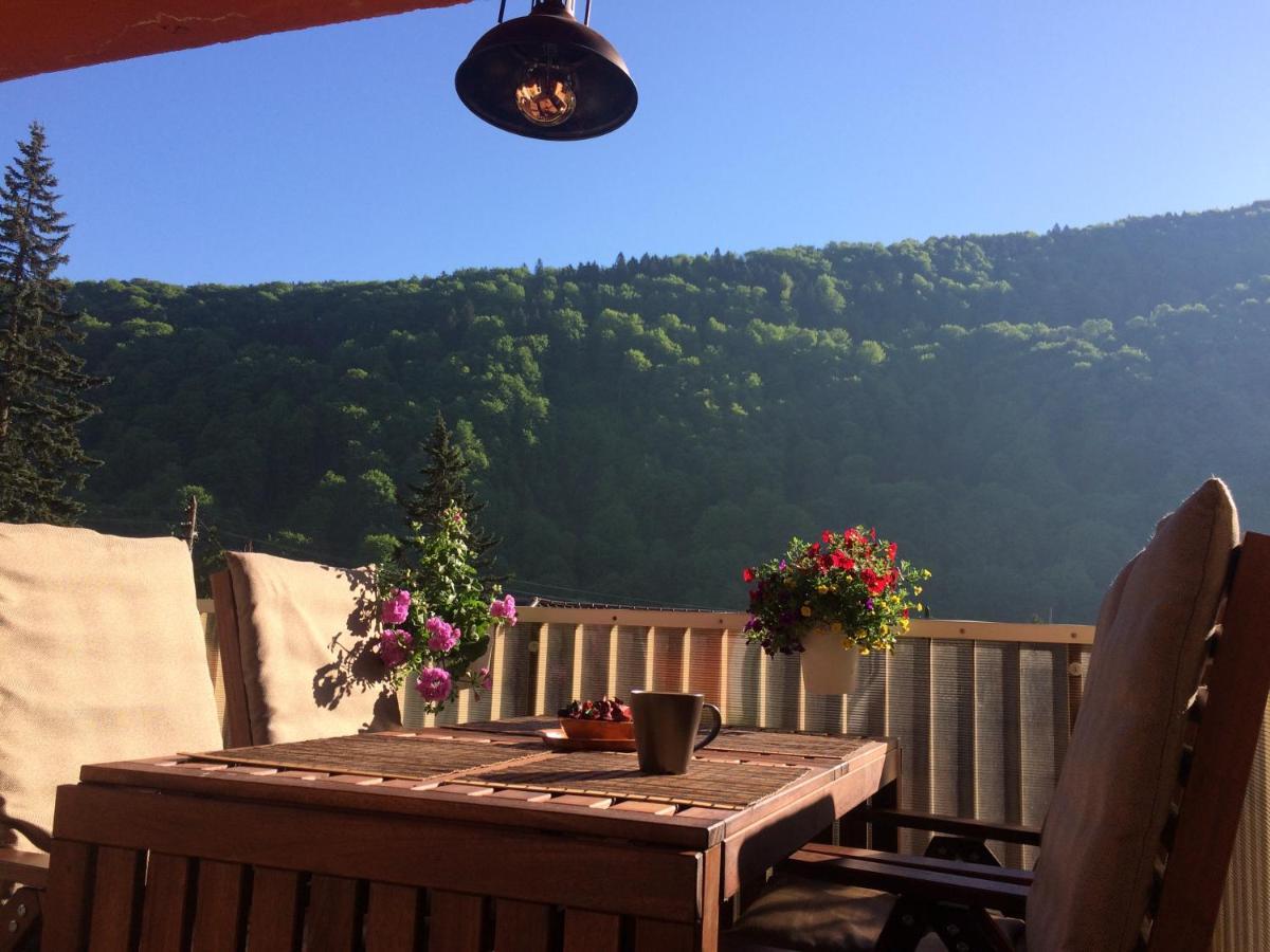 Miro Apartament Sinaia Buitenkant foto
